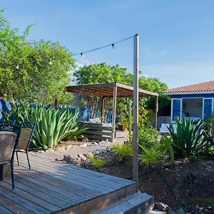 Dajo , Willibrordus Curaçao