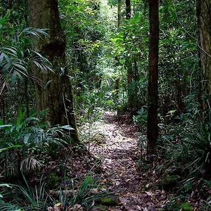 Lyrebird Retreat Lodge Springbrook